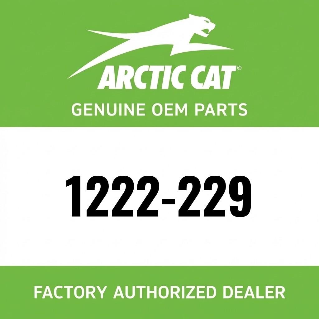 PISTON ASSY WITH RINGS image 1