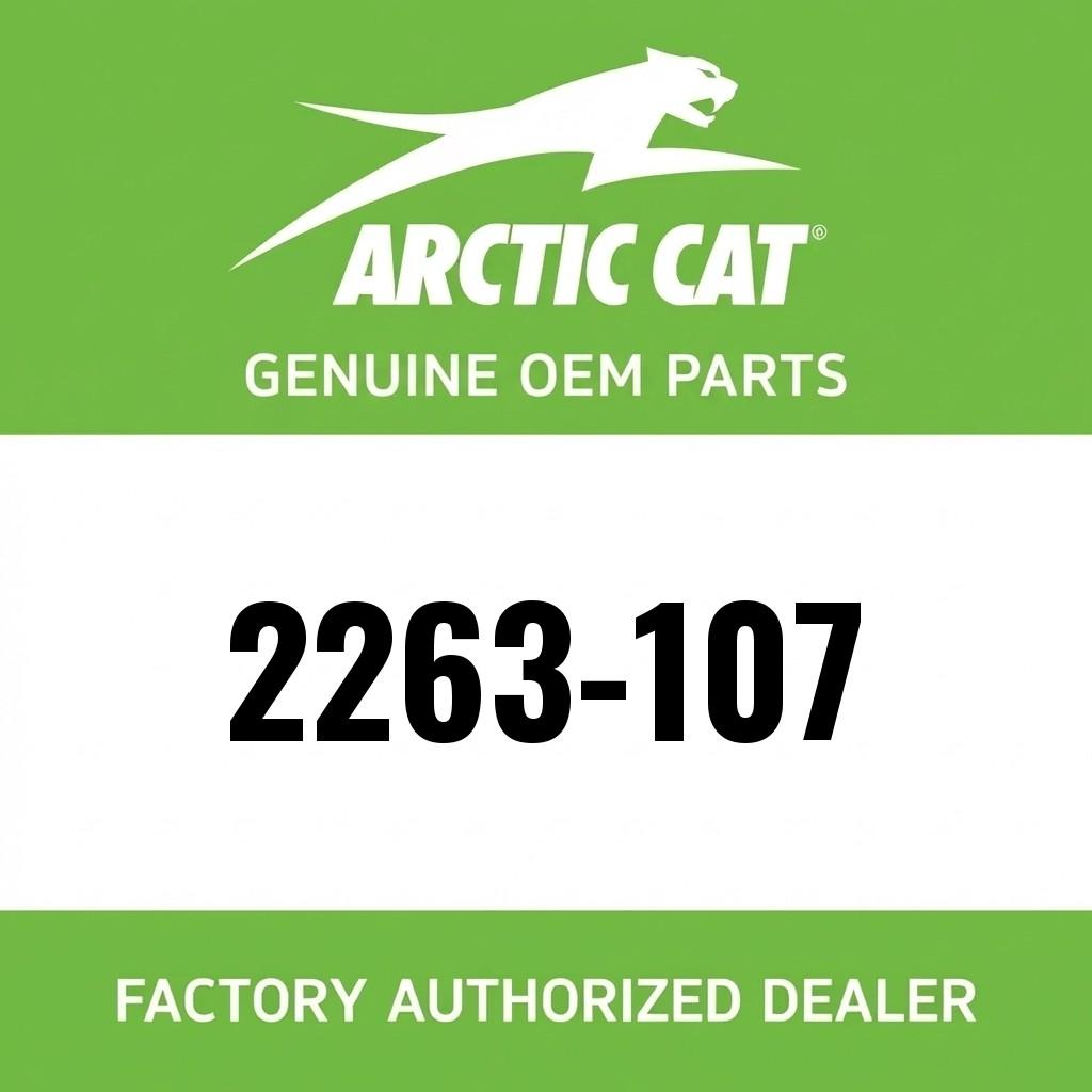 Arctic Cat Snowmobile Service Manual - 2021 Blast 4000 image 1