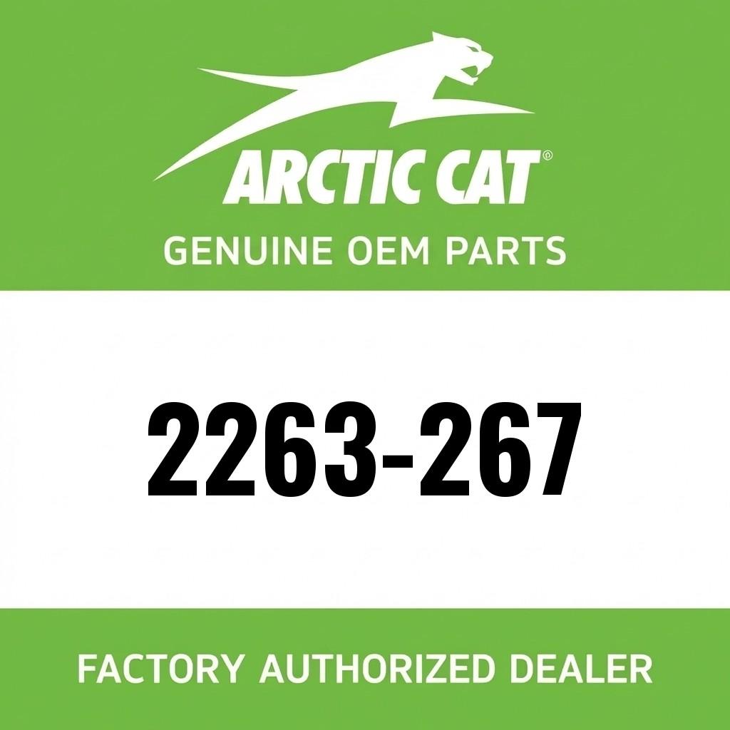 Arctic Cat Snowmobile Service Manual - 2022 Blast 4000 image 1