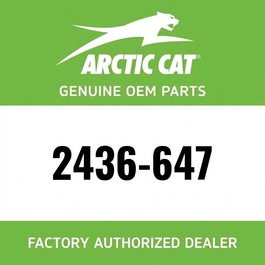 Arctic Cat Trailerable Cover - 2019-2024 Prowler Pro image 1