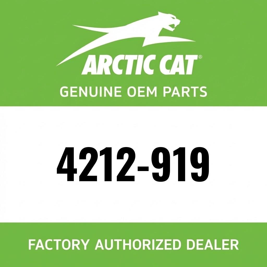 Arctic Cat TXi Helmet Hinge Ratchet Repair Kit image 1