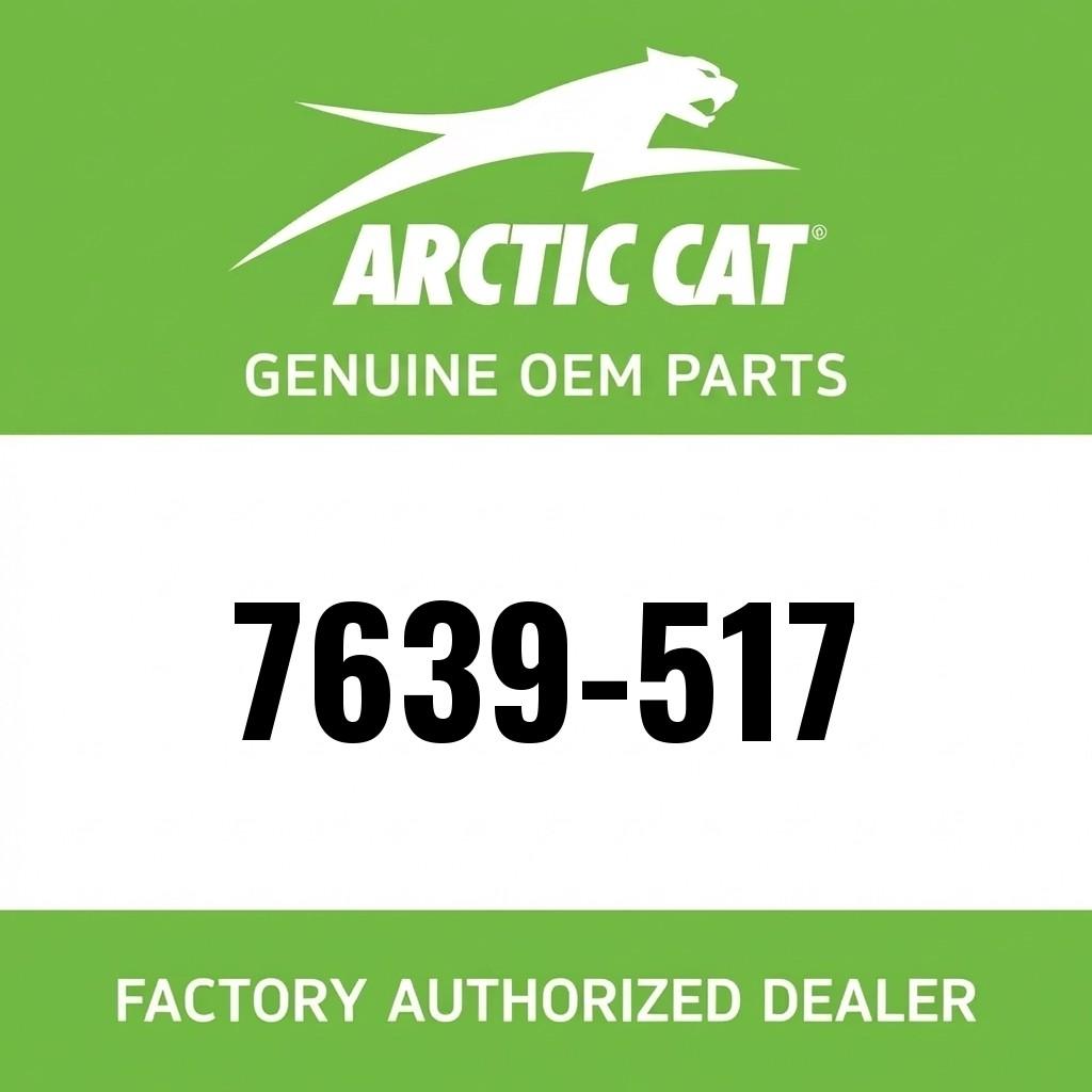 Arctic Cat Snowmobile Extreme Low-Temp Red Lithium Grease - 10 ounce image 1