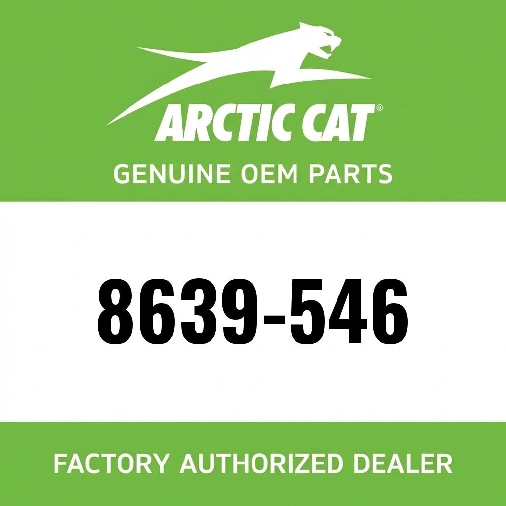 Arctic Cat Heavy-Duty Spring Kit - 2024-2026 Riot 600 858 146 image 1
