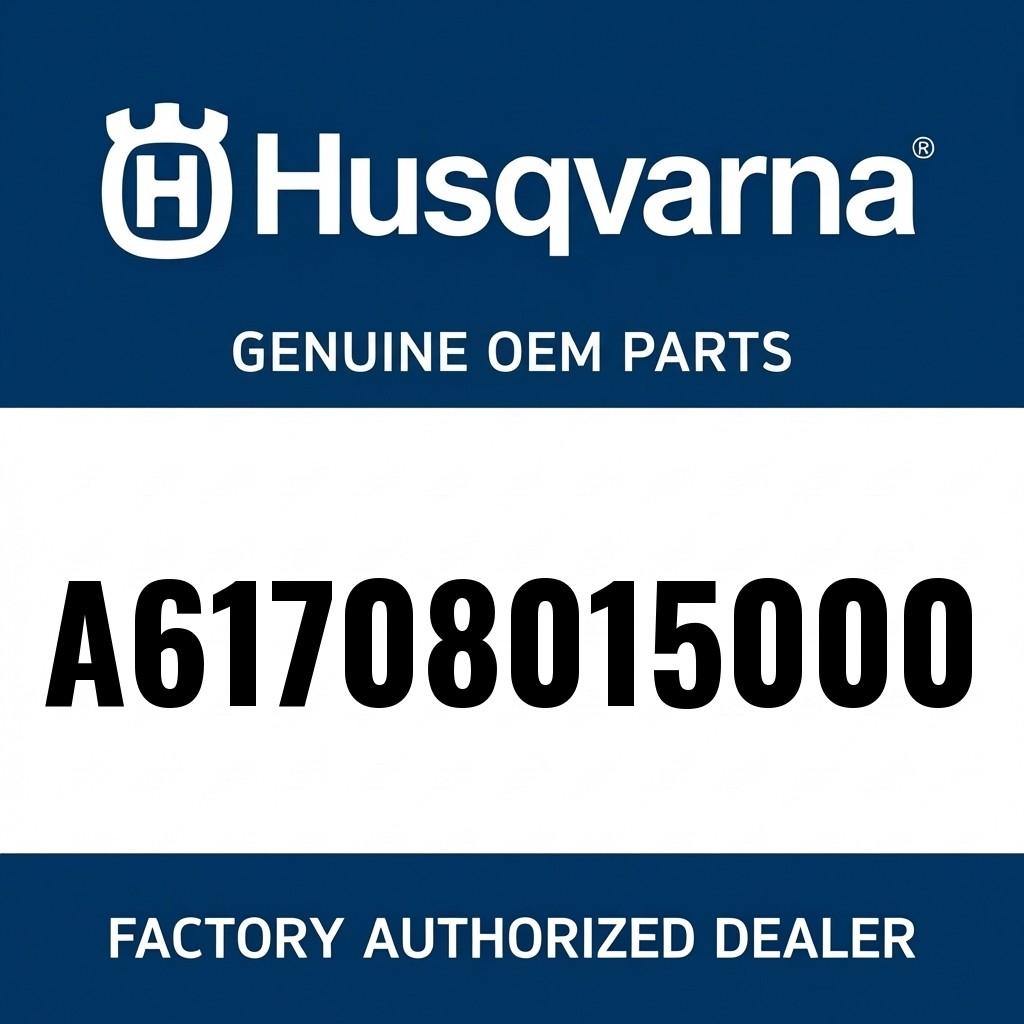 HOLDER PLATE NUMBER REAR image 1