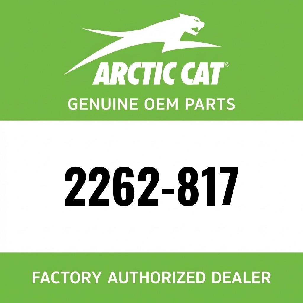 Arctic Cat Snowmobile Service Manual - 2020 M Norseman Riot ZR 6000 8000 image 1