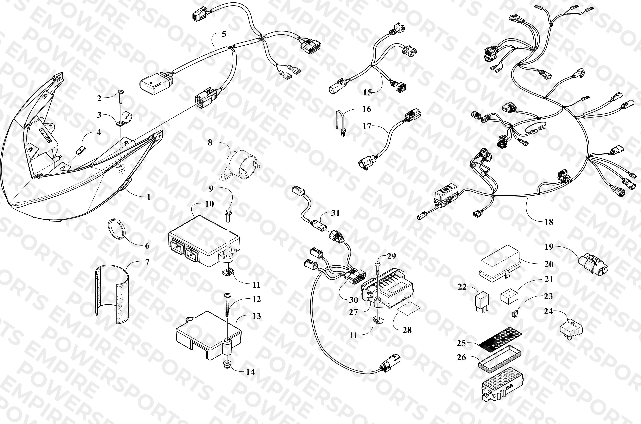 HEADLIGHT AND WIRING ASSEMBLIES
