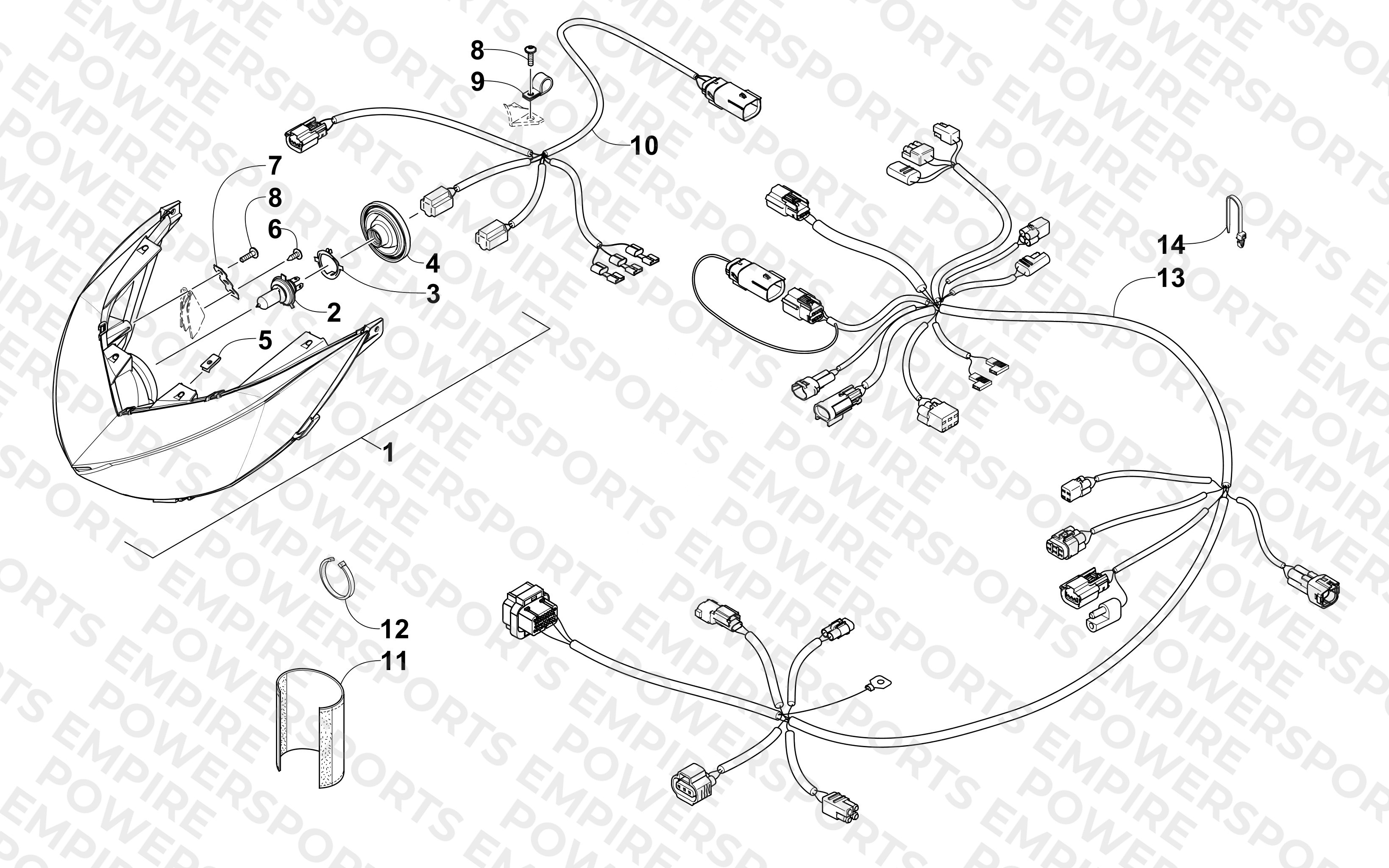 HEADLIGHT AND WIRING ASSEMBLY