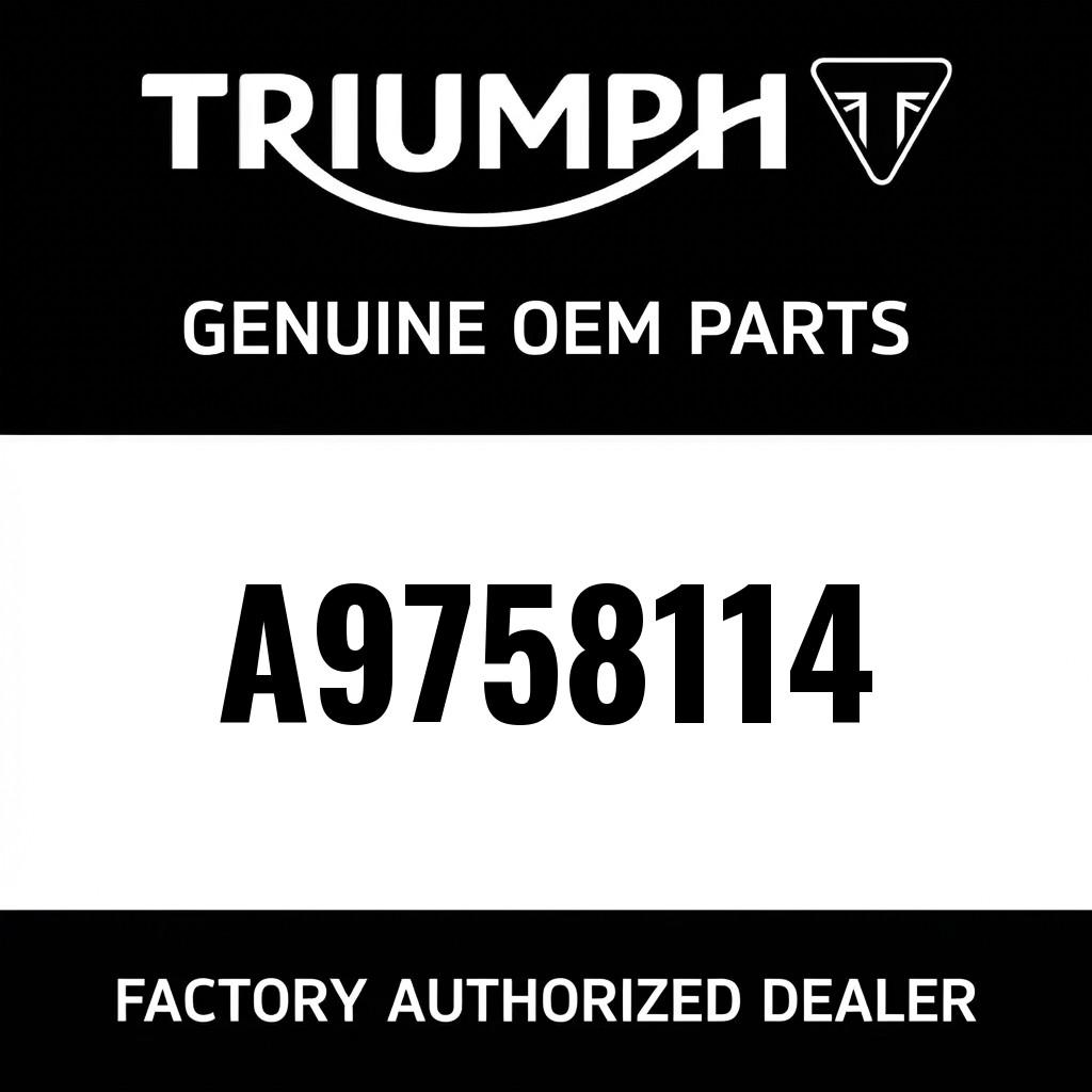 Rear Fender Rail Kit image 1