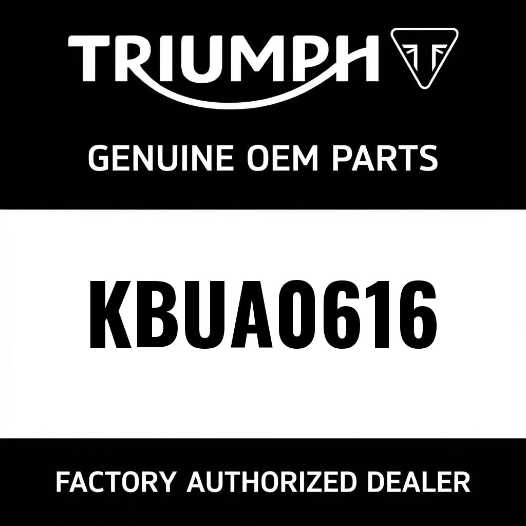 Truss Screw, M6 x 16L image 1
