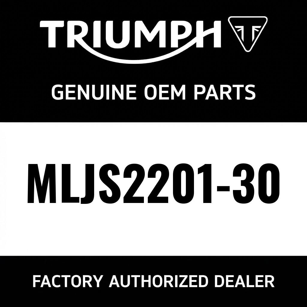 TRIPLE SPORT LEATHER PANTS 30 image 1