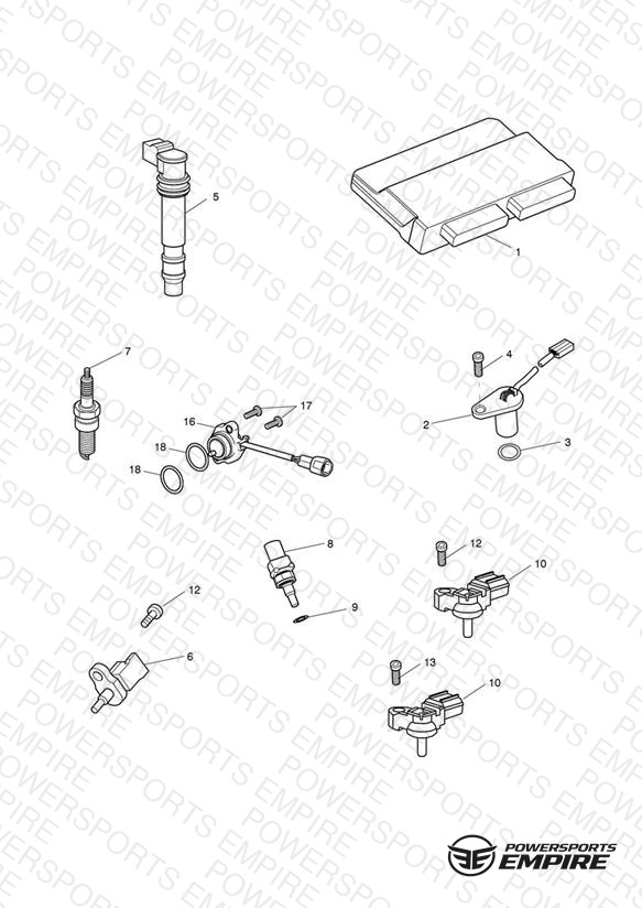 Engine Management System