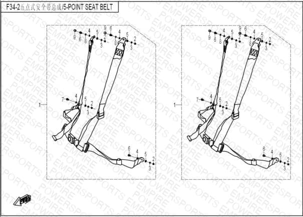 F34-2 — 5-POINT SEAT BELT