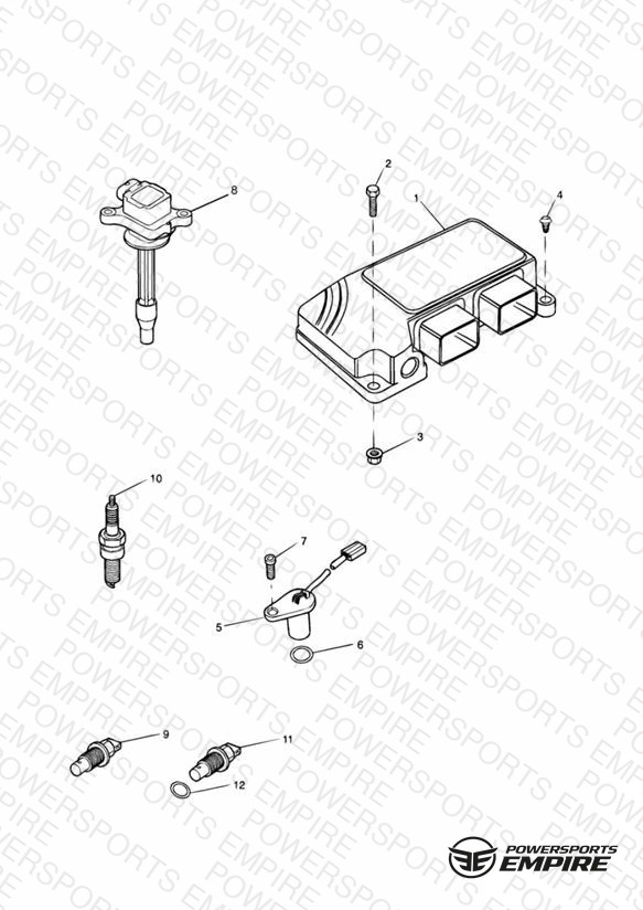 Engine Management System