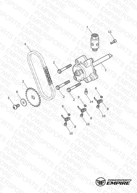 Oil Pump & Drive