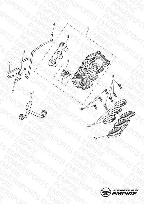Throttles, Injectors and Fuel Rail