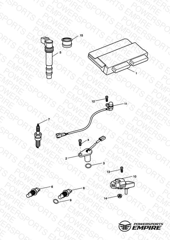 Engine Management System