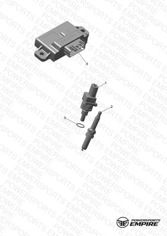Engine Management System