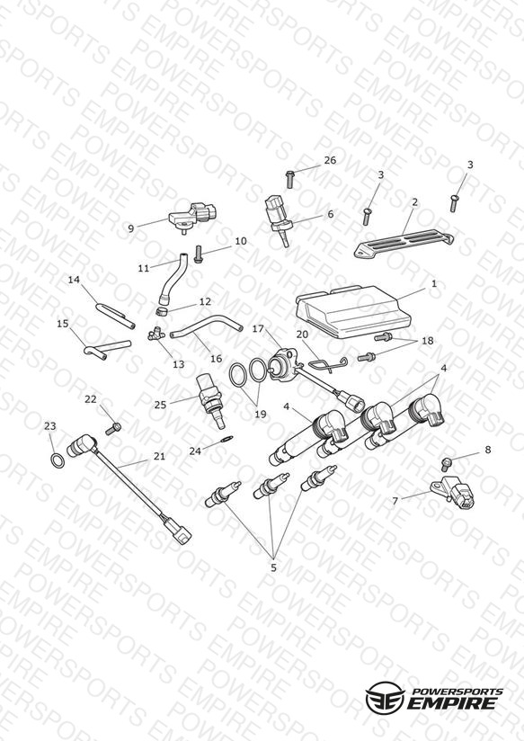 Engine Management System