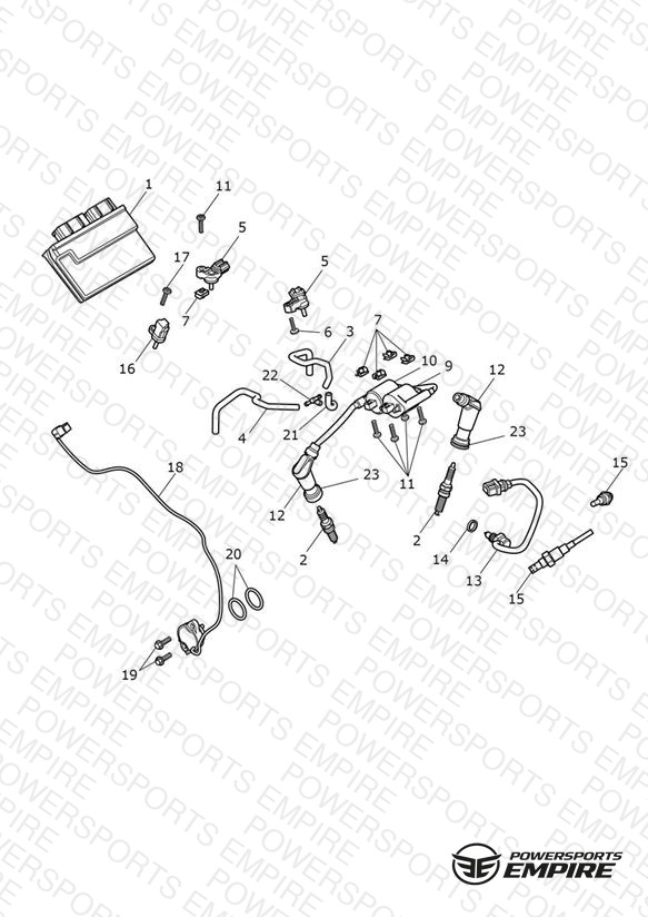 Engine Management System