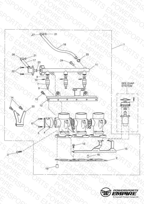Throttles/Injectors and Fuel Rail