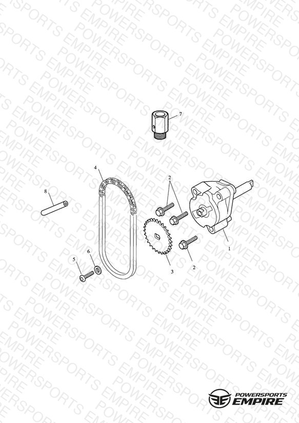Oil Pump & Drive