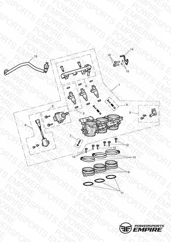 Throttles, Injectors and Fuel Rail