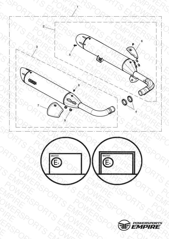Silencer Pair, Homol, Brushed