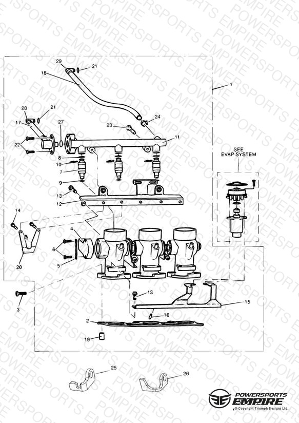 Throttles/Injectors and Fuel Rail