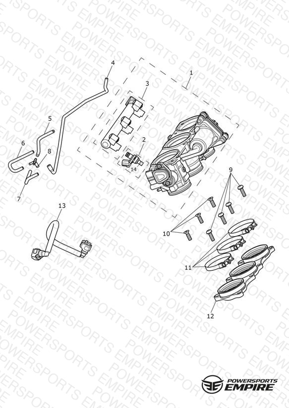 Throttles, Injectors and Fuel Rail