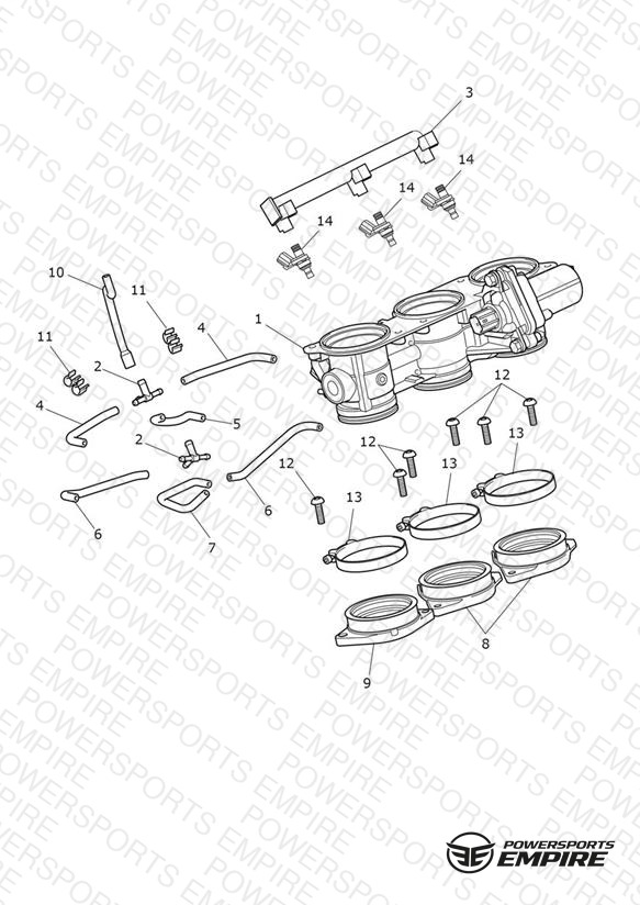 Throttles, Injectors & Fuel Rails