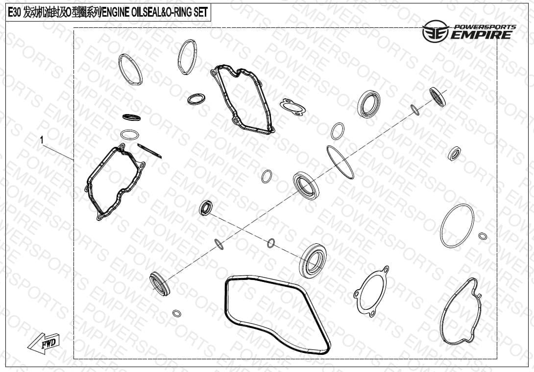 E30 — ENGINE OIL SEAL & O-RING SET